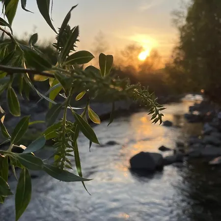 W Gorach Park 別荘 Wilkanów