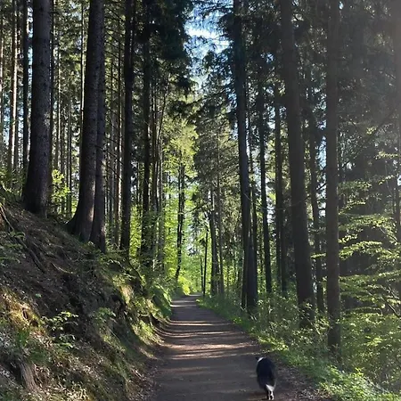 Dom wakacyjny W Górach Park Wilkanow