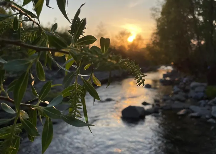 W Gorach Park Σπίτι διακοπών Wilkanow